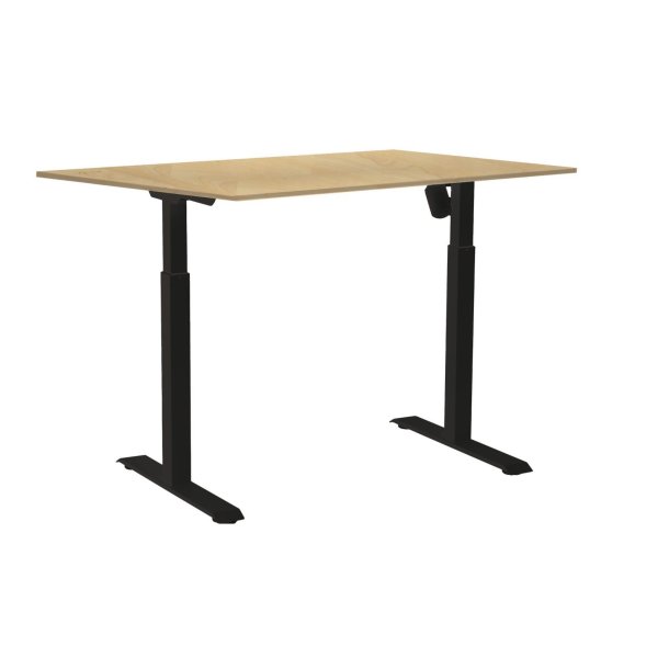 Ergo- Flex h�ve-/ s�nkebord med 1 motorer i mange str. og farver