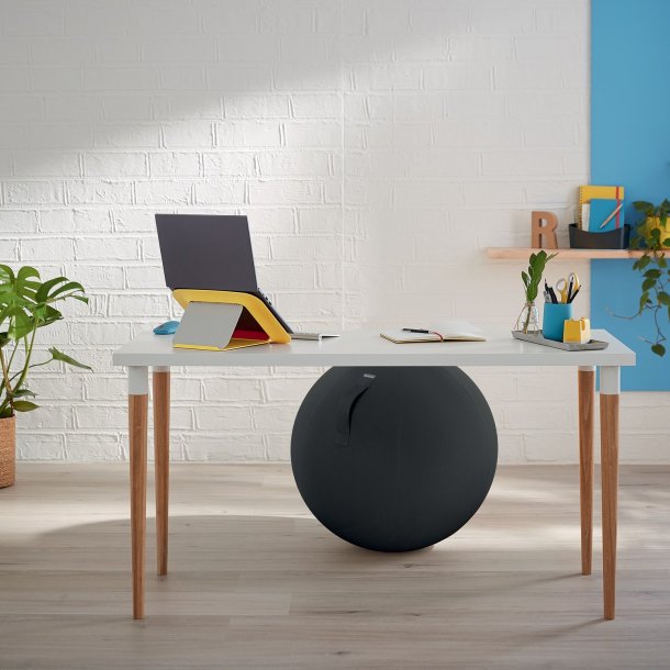 Balancebold Ergo Cosy i flere farver