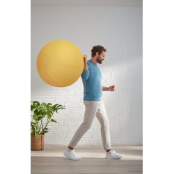 Balancebold Ergo Cosy i flere farver