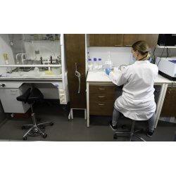 Salli Swing Fit Sadelstol med justerbar brdde og alubase